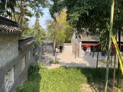 -镇江市南山风景名胜区竹林景区