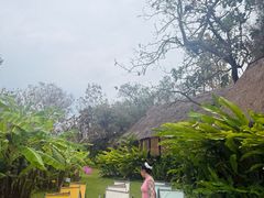 -大象粑粑造纸公园