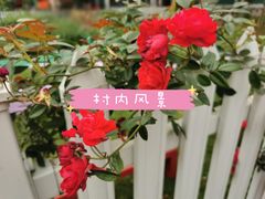 -Club Med地中海俱乐部·桂林度假村