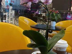 -红星美凯龙北京至尊MALL(东四环中路店)