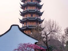 -红梅公园