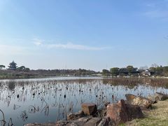 -上海海湾国家森林公园