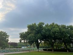 -月湖风景区