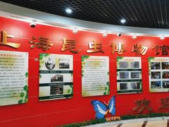 -上海昆虫博物馆