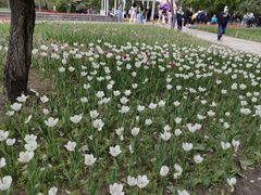 -长春公园(普阳街道)