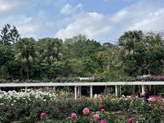 -人民公园(罗湖区)