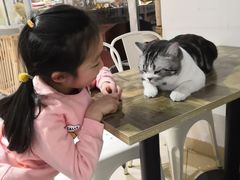 -小时光咖啡馆(开森度假森林店)