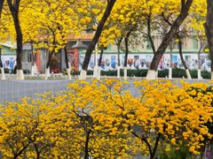 -万江图书馆