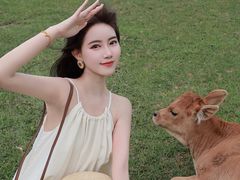 -大姆山草场