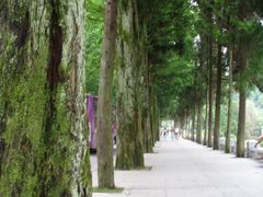 -井冈山风景名胜区-黄洋界