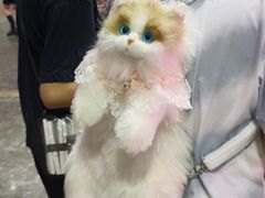 -重庆国际会议展览中心