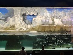 -成都浩海立方海洋公园