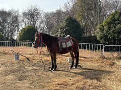 -合肥三国新城遗址公园