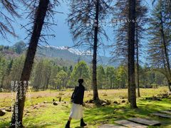 -硗碛藏寨·神木垒景区