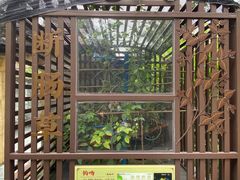 -广州神农草堂中医药博物馆