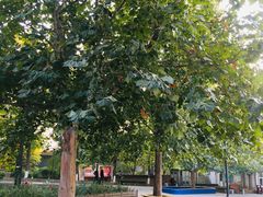 -长辛店二七公园