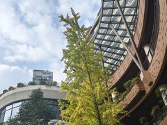 -瑞虹新天地月亮湾
