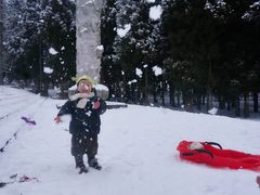 -武陵山森林公园