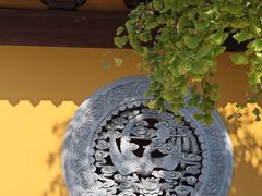 -龙华素斋(龙华路店)