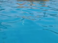 -美的鹭湖探索王国