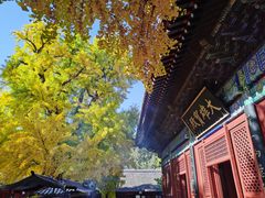 -红螺寺