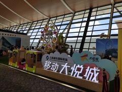 -上海浦东国际机场-T2航站楼