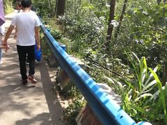 -宁波五龙潭景区