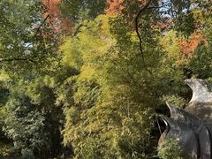 -三江森林温泉度假区