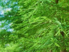 -上海浦江郊野公园-5号停车场