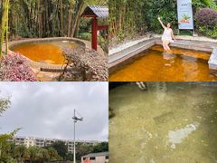 -罗浮山嘉宝田森林温泉度假酒店