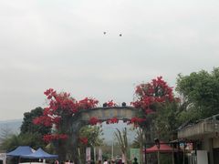 -天适樱花悠乐园