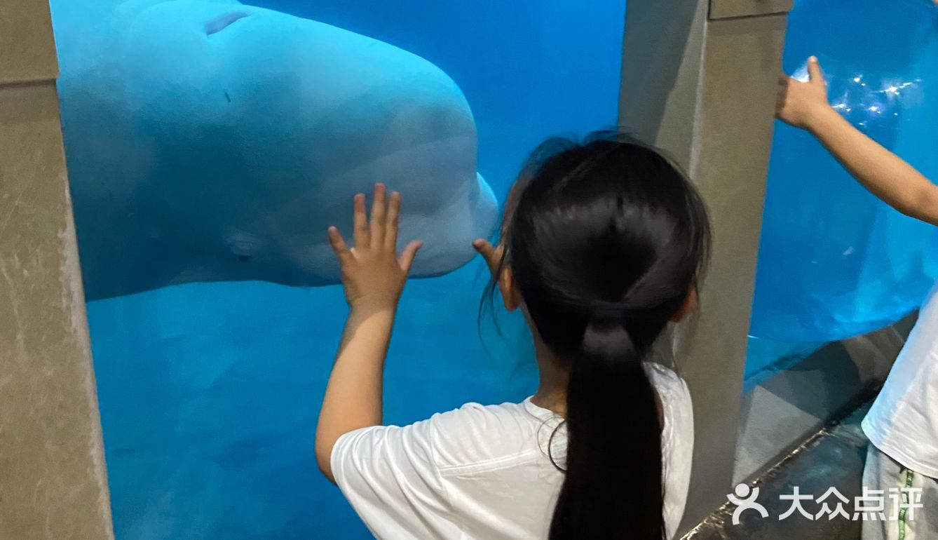 夜宿北京海洋馆