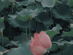 -黄兴公园