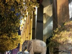 -泉州悦华酒店·自助餐厅