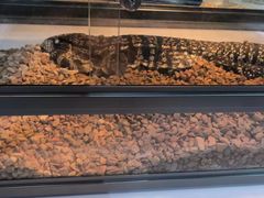 -上海跨国采购会展中心