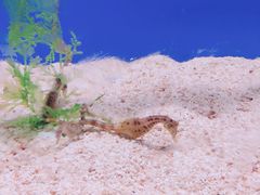 -厦门海底世界