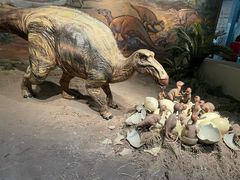 -自贡恐龙博物馆