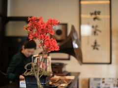 -大可堂普洱茶馆(襄阳南路馆)
