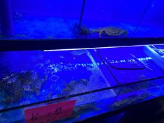 -吉香碳烤生蚝(仙霞路店)