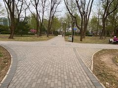 -玲珑塔公园