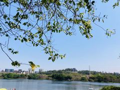 -广东花都湖国家湿地公园