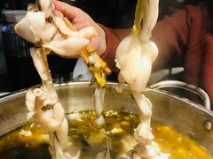 -酒肉行·虎子盐筋烤肉(大寨路店)