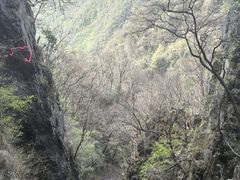 -塔云山