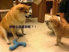 -海鲜街菜馆(海珠南路店)