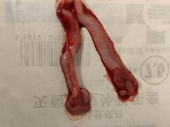 -伟伟宠物医院·CT影像中心·瑞派犬猫综合性门诊(汉口总院)