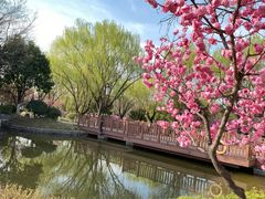 -鹦鹉寺公园