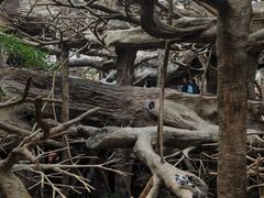 -长鹿旅游休博园