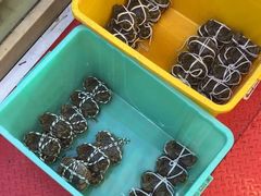 -蟹天蟹地农家菜·阳澄湖大闸蟹(浅水湾店)