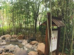 -咸宁万豪温泉谷度假区