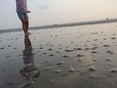 -南汇嘴观海公园